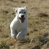 a20080224_ausflugwald_0027