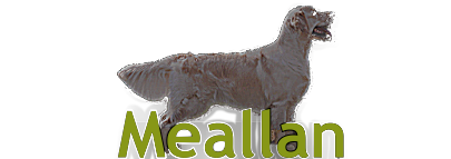 Meallan