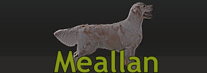 Meallan