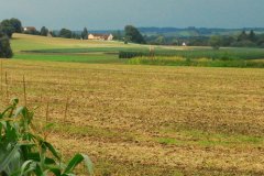 2010/08 Spaziergang im Hopfen