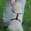 bdsc_0955_3