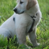 bdsc_0957_3