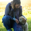 bdsc_0958_3