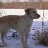 2004