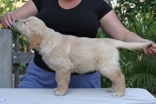 black7weeks-1