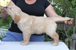 blue7weeks-1