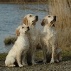 20080316_see02_0059.jpg