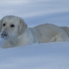 dsc_3911.jpg