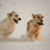 20120211-dsc_4102