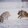 20120211-dsc_4117