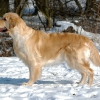 20120212-dsc_4213