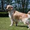 20120428-dsc_4932