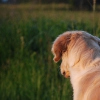 20120527-dsc_5606
