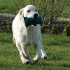 20080417-app2.jpg
