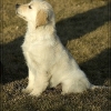 c_k20080219_stevogarten_0026.jpg