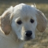 k20080219_stevogarten_0031.jpg
