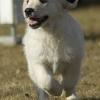 kdsc_0356.jpg
