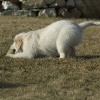 kdsc_0390.jpg