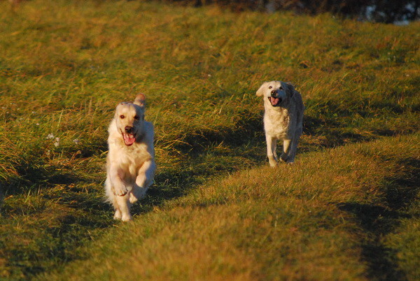 Lou und Amber 