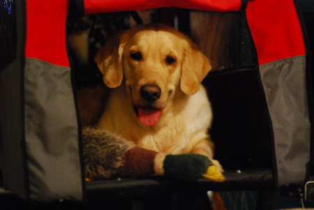 Die fahrbare Höhle » Meallan